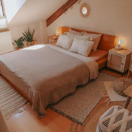 Cozy Apartment In The Heart Of The Historic City Bratislava Eksteriør billede