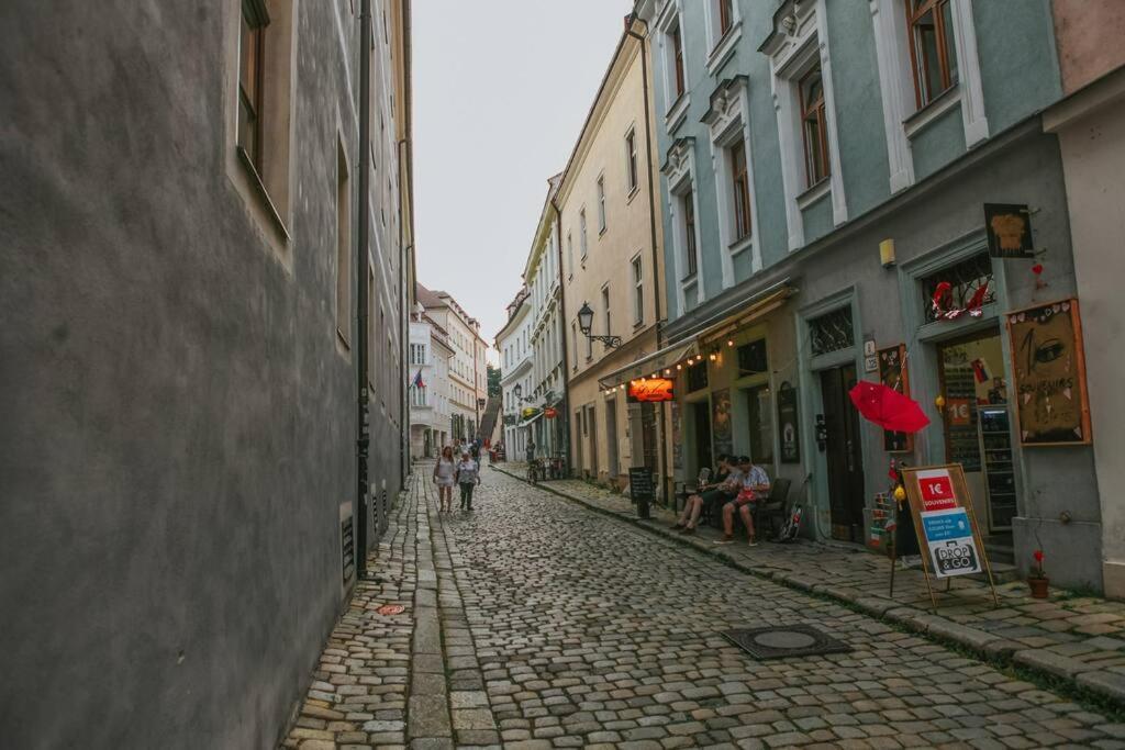 Cozy Apartment In The Heart Of The Historic City Bratislava Eksteriør billede